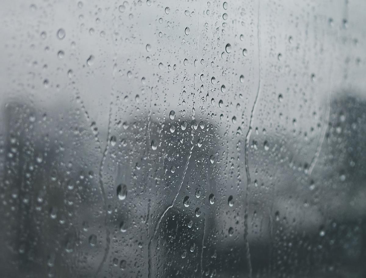 Rain on a window pane